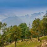 Kashmir Great Lakes Trek Soanamarg Forest