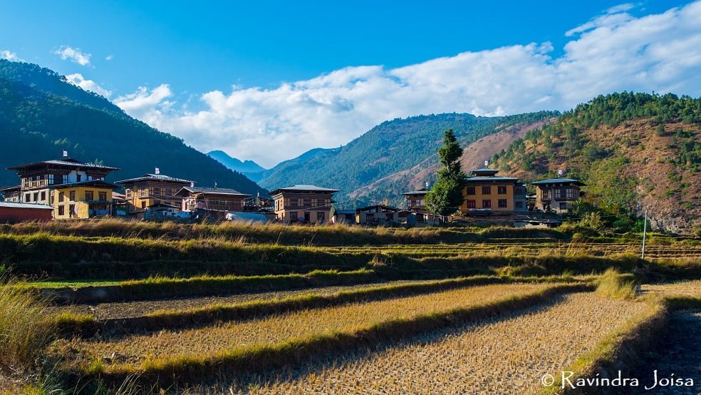 Chimi Lhakhang - Yowakha village farmland - Ravindra Joisa